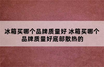 冰箱买哪个品牌质量好 冰箱买哪个品牌质量好底部散热的